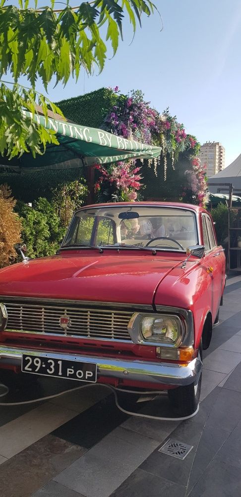 Фотография автора Ольга Мусина