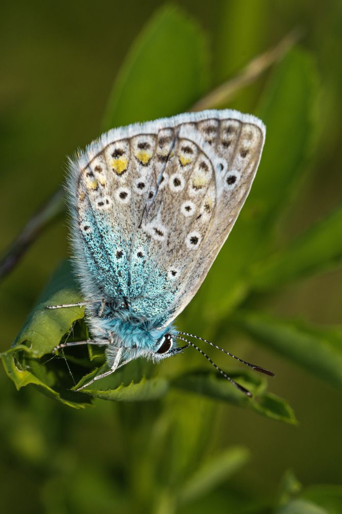 Photograph by Наталья