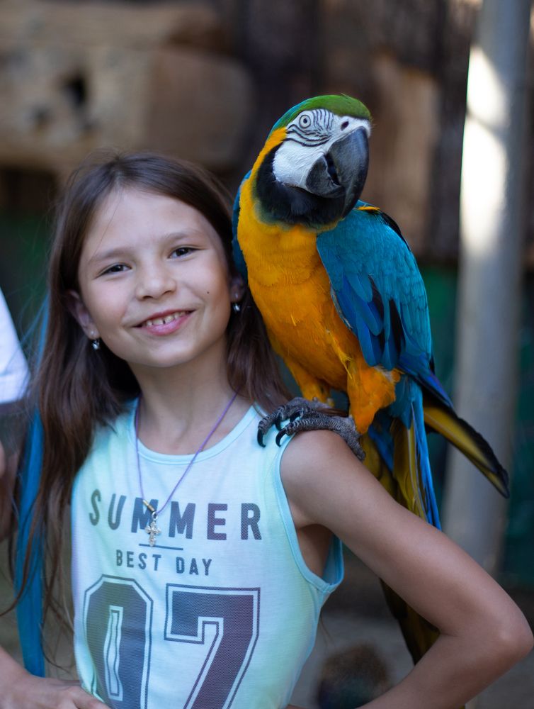 Photograph by Алексей Тихонов