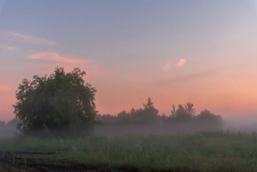 Photograph by Сергей