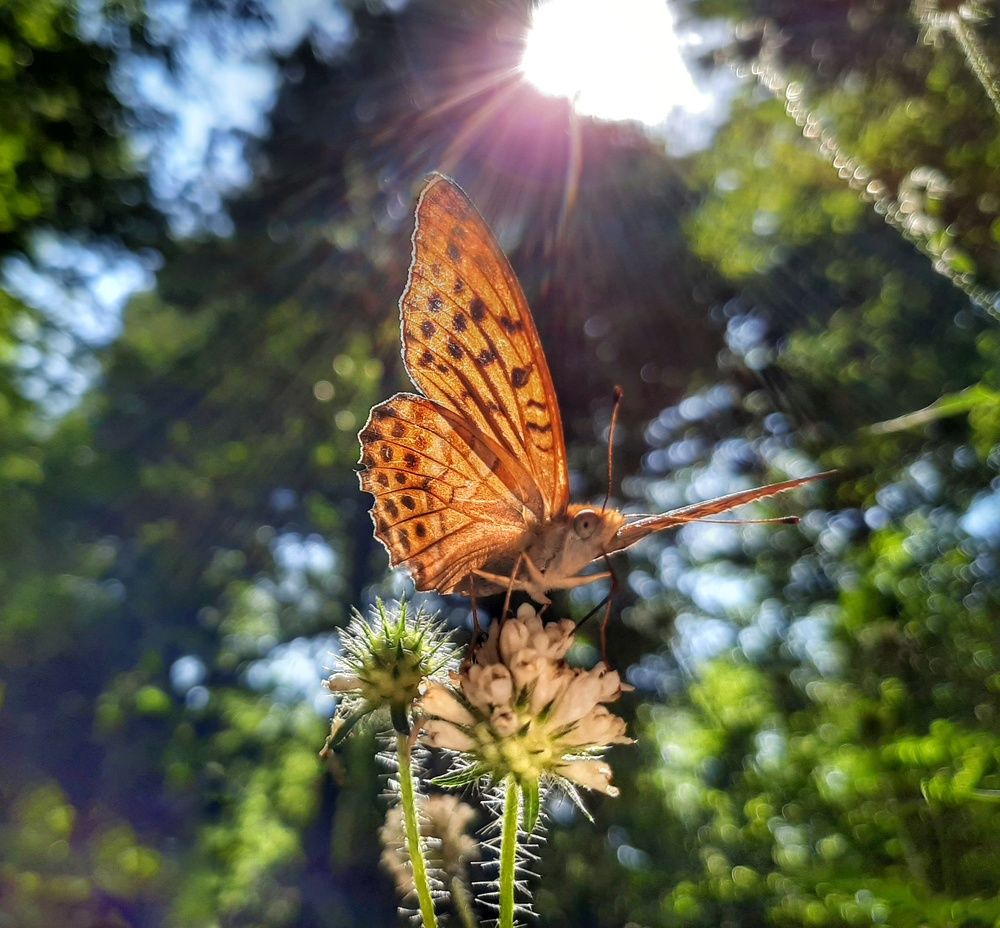 Photograph by Юлия