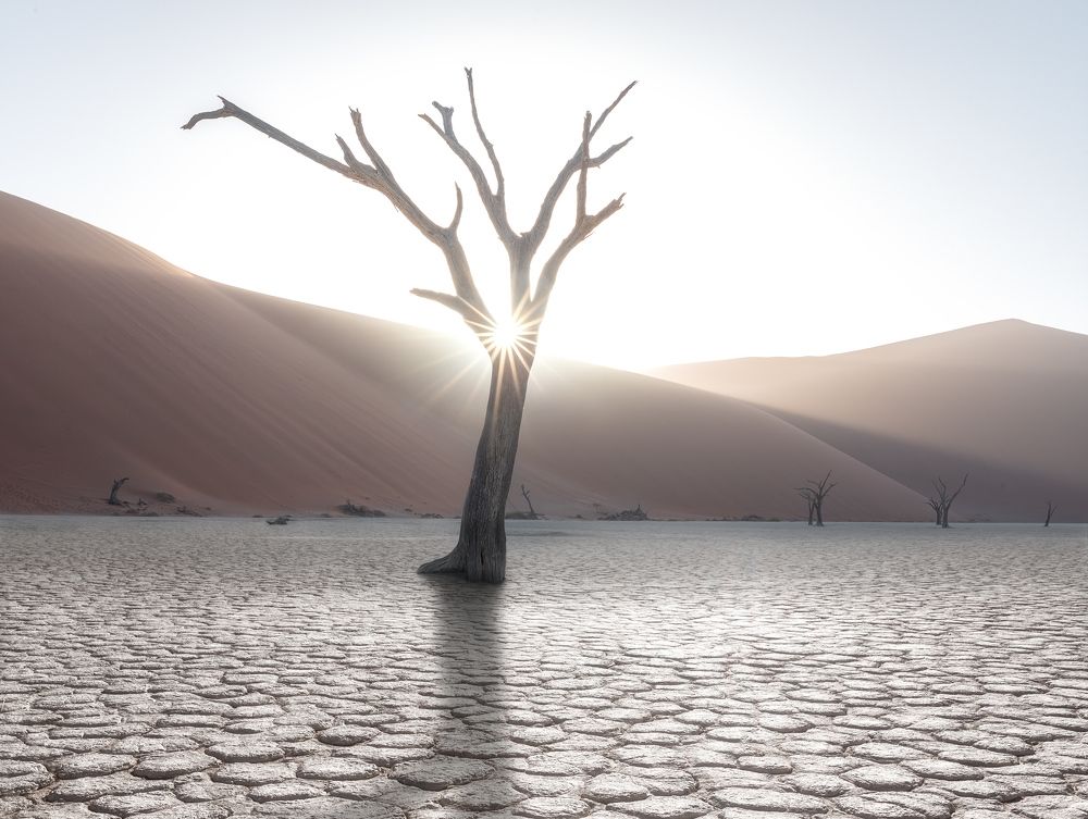 Photograph by Александр Ипполитов