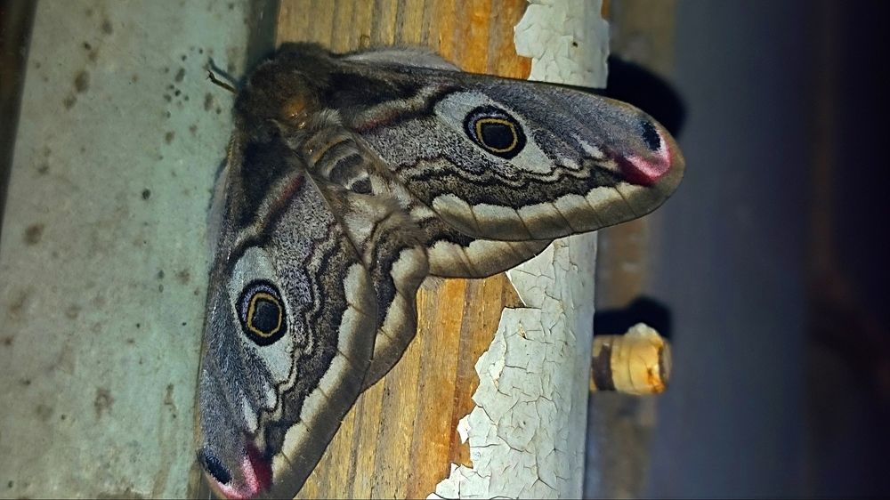 Photograph by Алена Власовец