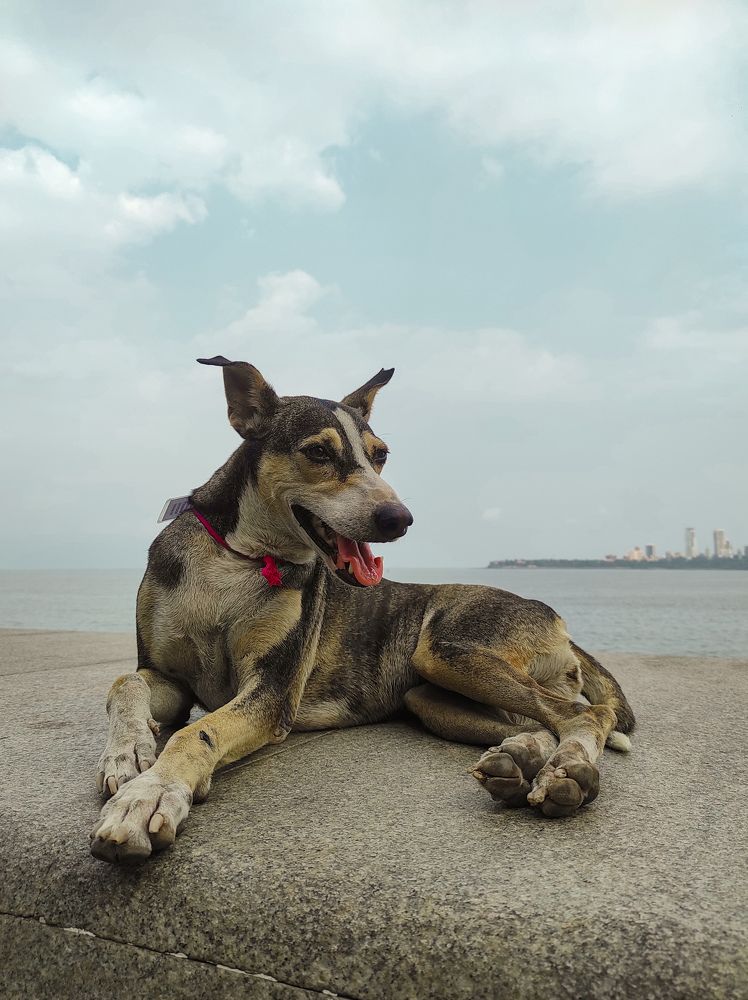 Photograph by Mayur Charatkar