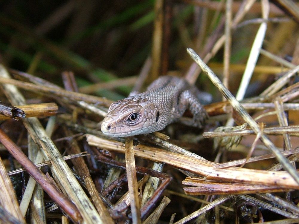 Photograph by Наталья Сафонова