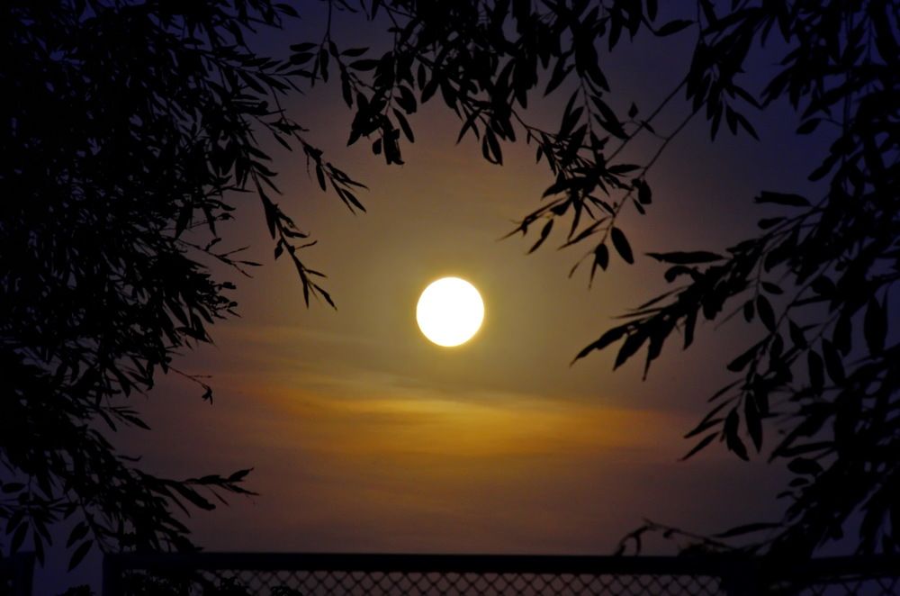 Photograph by Анатолий Святой