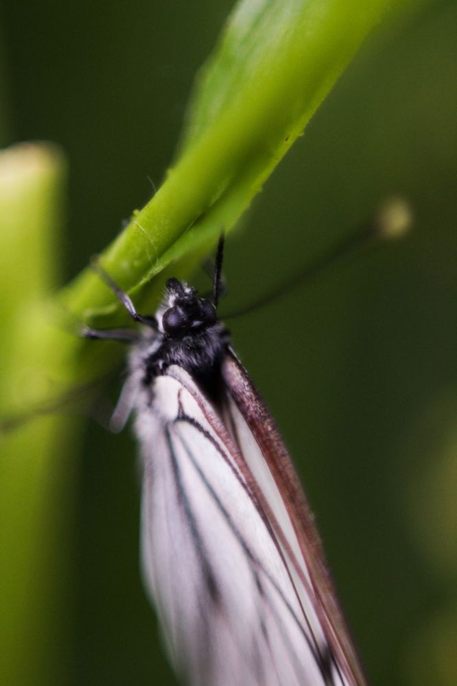 Photograph by Злата Новикова