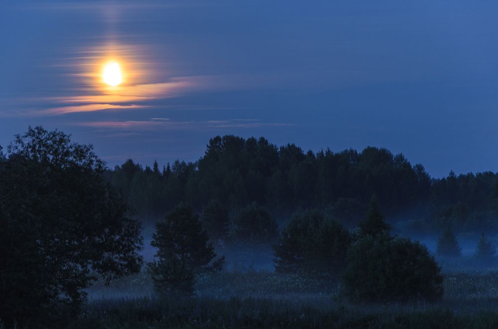 Photograph by Наталья Сафонова