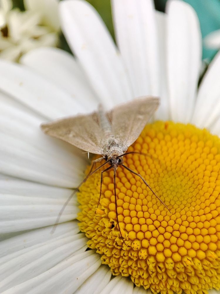 Photograph by Елена Горева