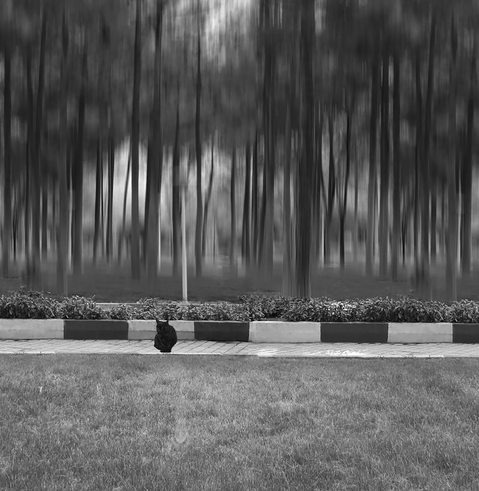 Photograph by Masoumeh Mahmoudi