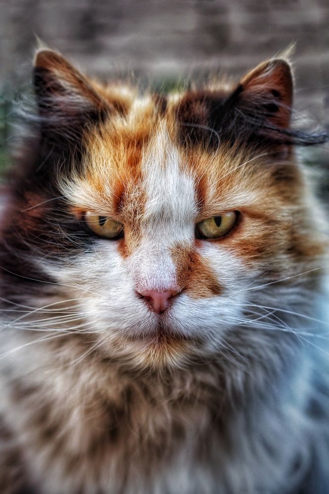 Photograph by Евгений Белов