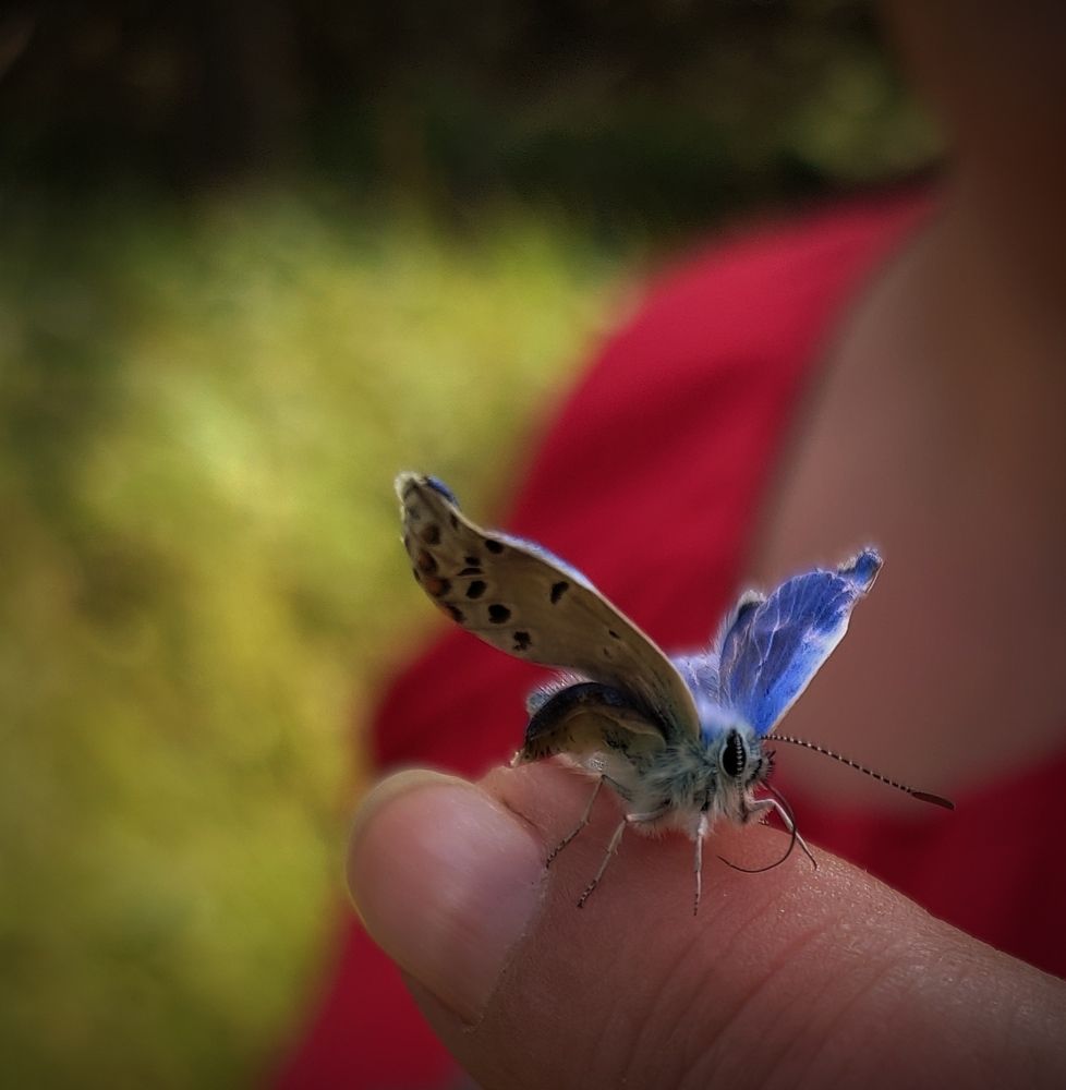 Photograph by Алена Власовец