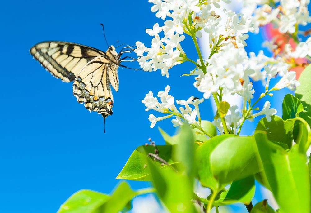 Фотография автора Олег Анатольевич Загорулько
