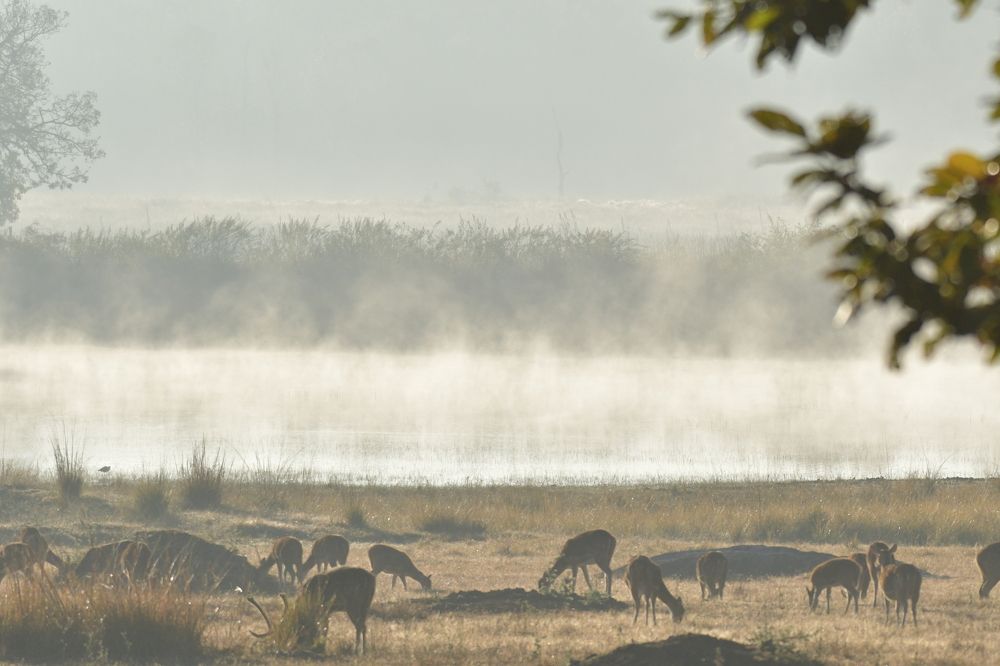 Photograph by Preet saluja