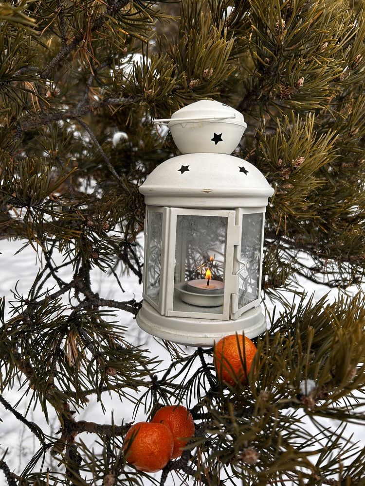 Photograph by Nomiunjargal Azzaya