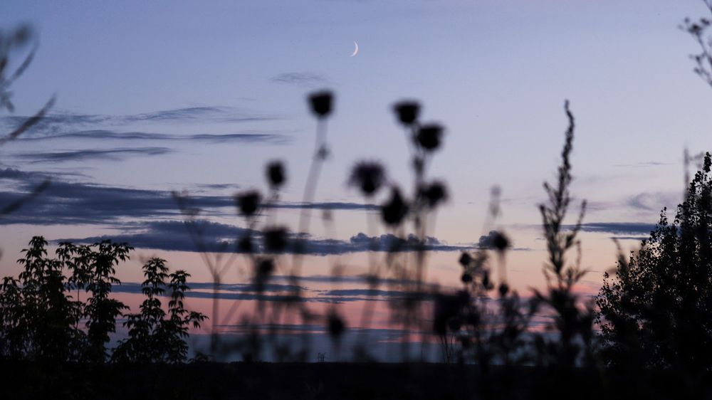 Photograph by Злата Новикова
