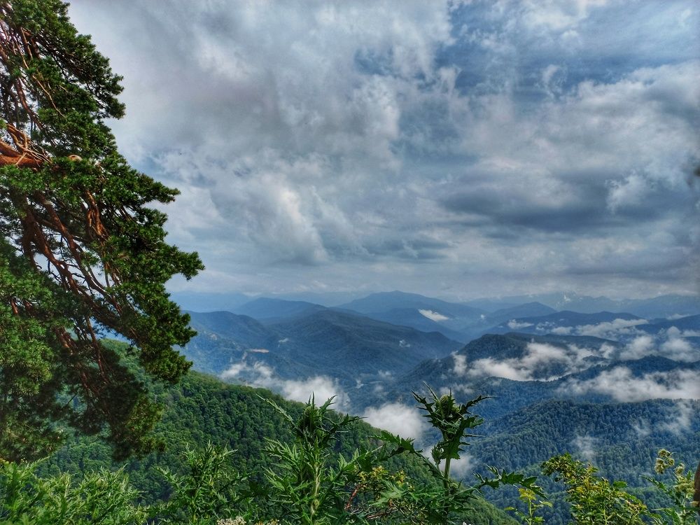 Photograph by Юлия