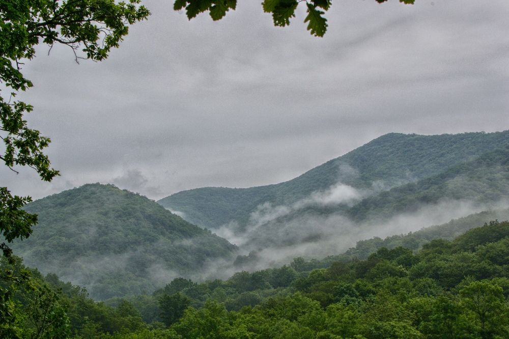 Photograph by Василиса Прекрасная