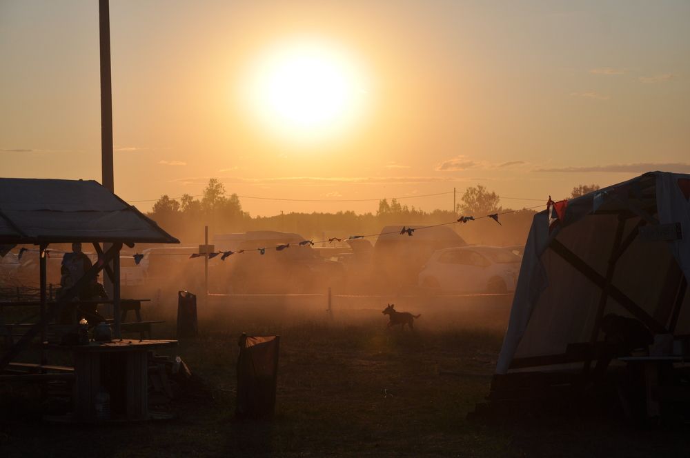 Туманный закат