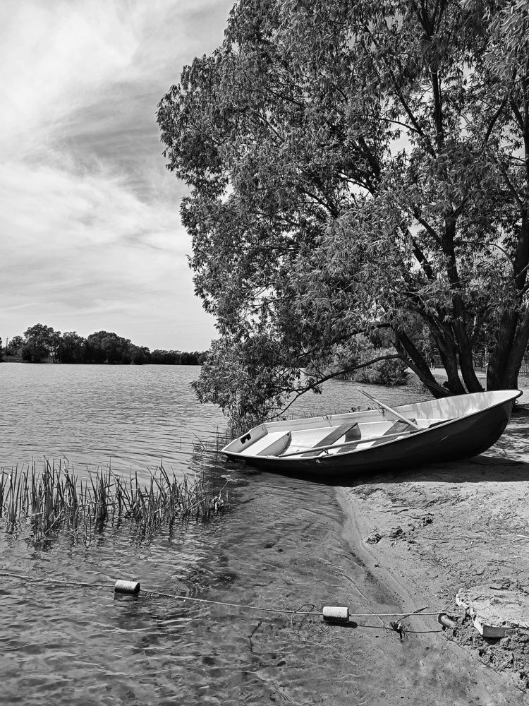 Photograph by Ксения