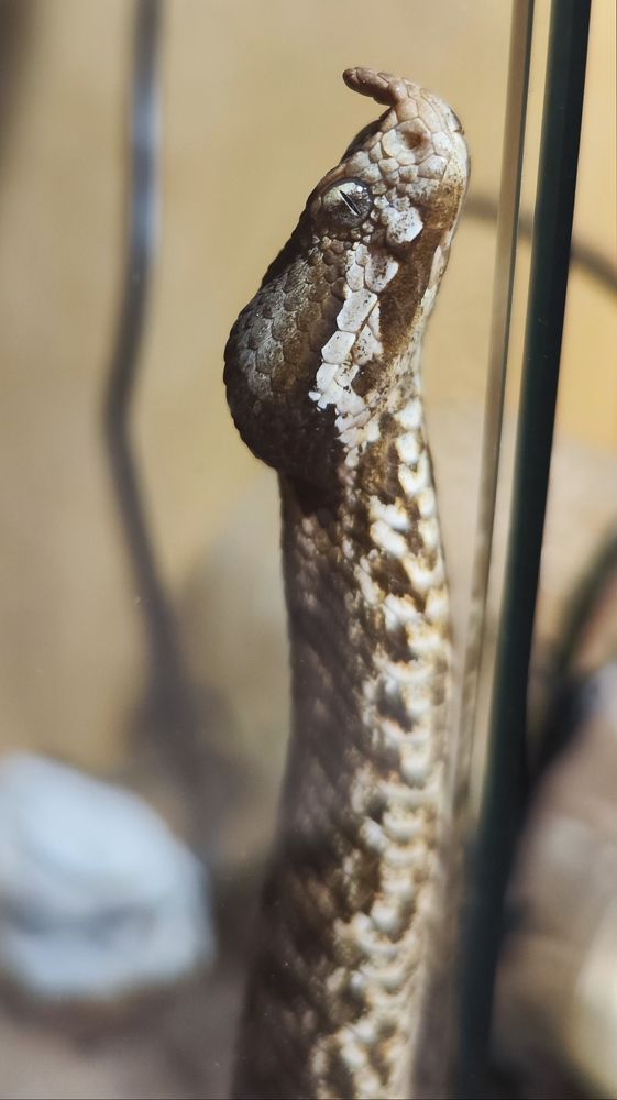 Photograph by KONSTANTINOS EFSTATHIOU