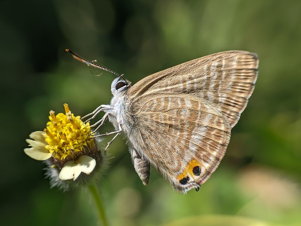 Фотография автора dxxx delos santos