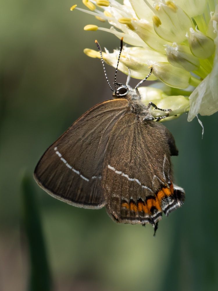 Photograph by Марина Новожилова