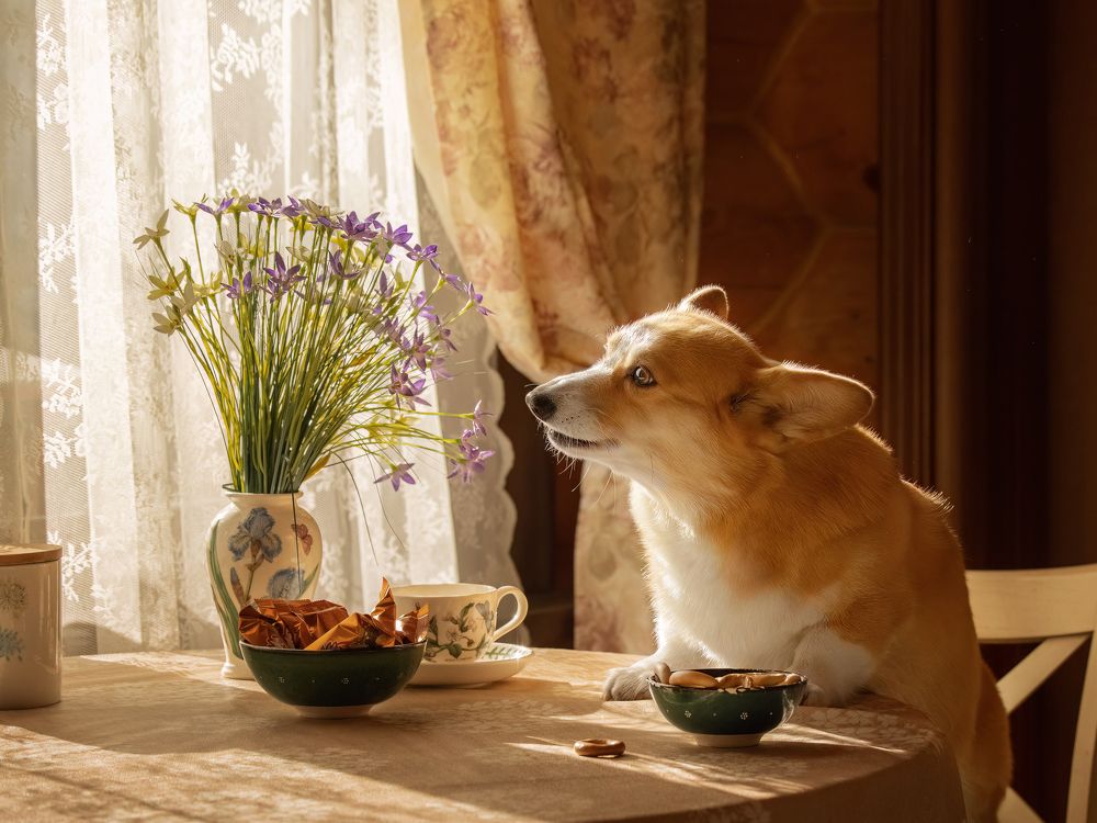 Photograph by Татьяна Тихомирова