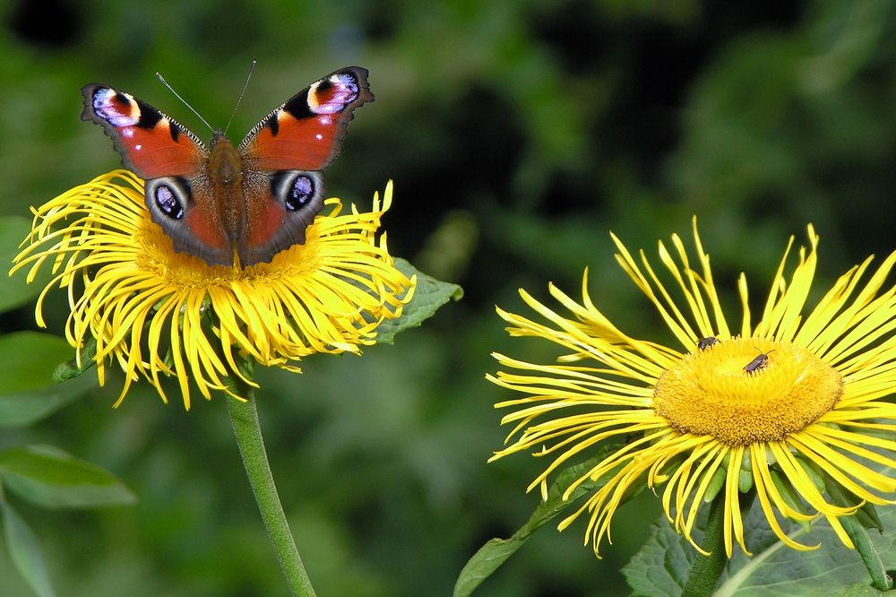 Photograph by Владимир Кривенко