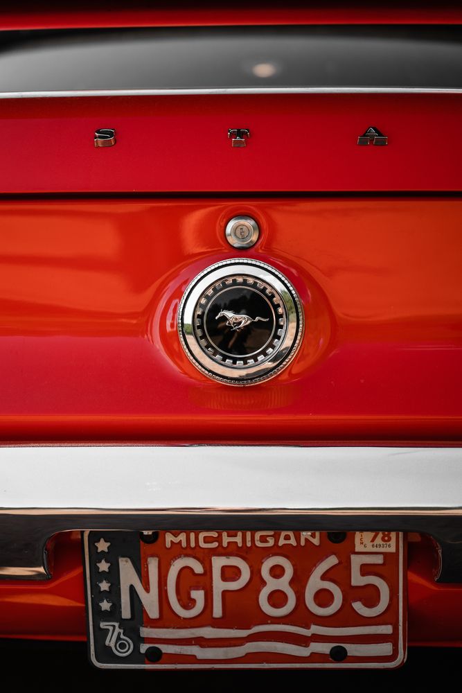 Photograph by Екатерина Сковорода