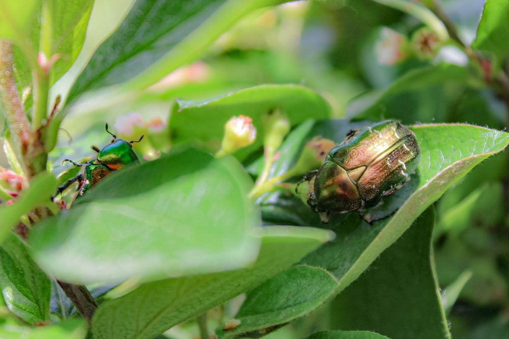 Photograph by Эльвира Куликова
