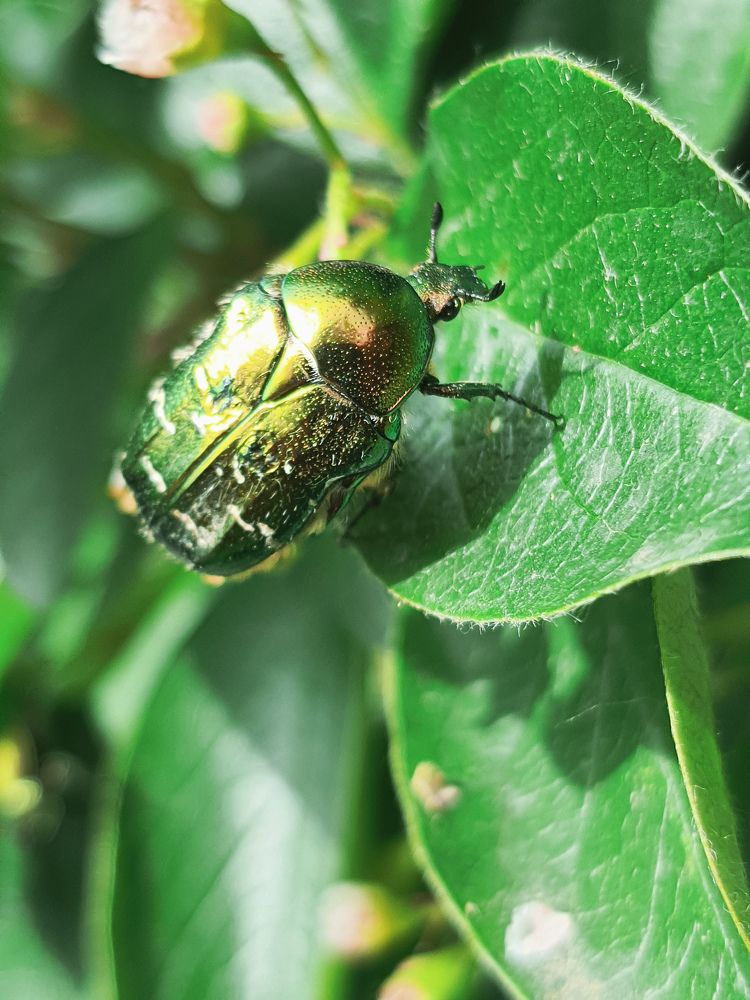 Photograph by Эльвира Куликова