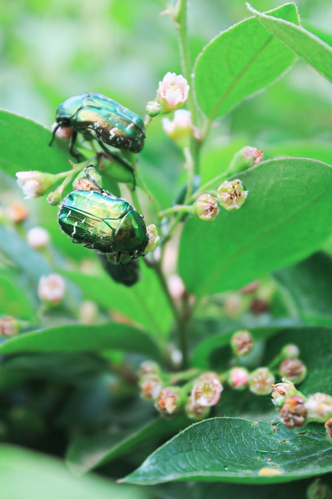 Photograph by Эльвира Куликова