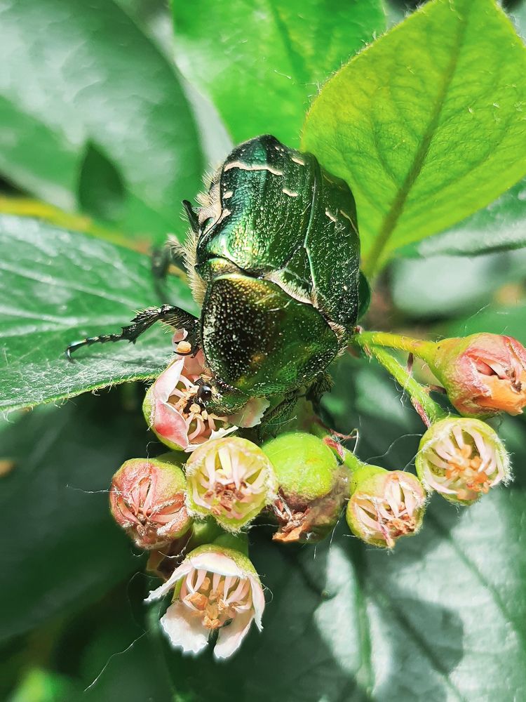 Photograph by Эльвира Куликова