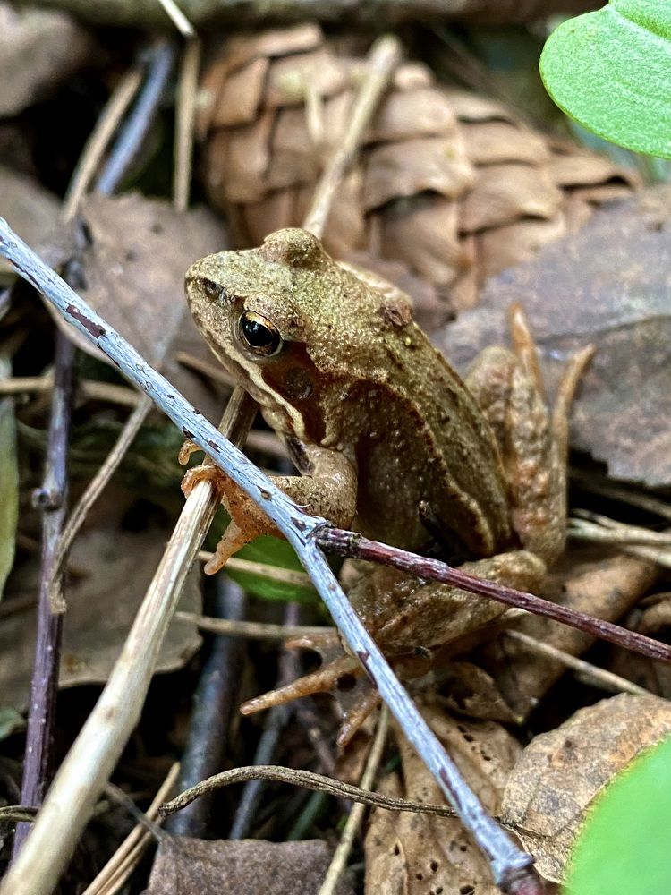 Фотография автора Александр Заикин