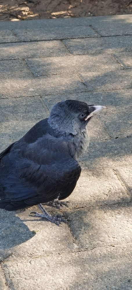 Photograph by Aleksandrs Konstantinovs