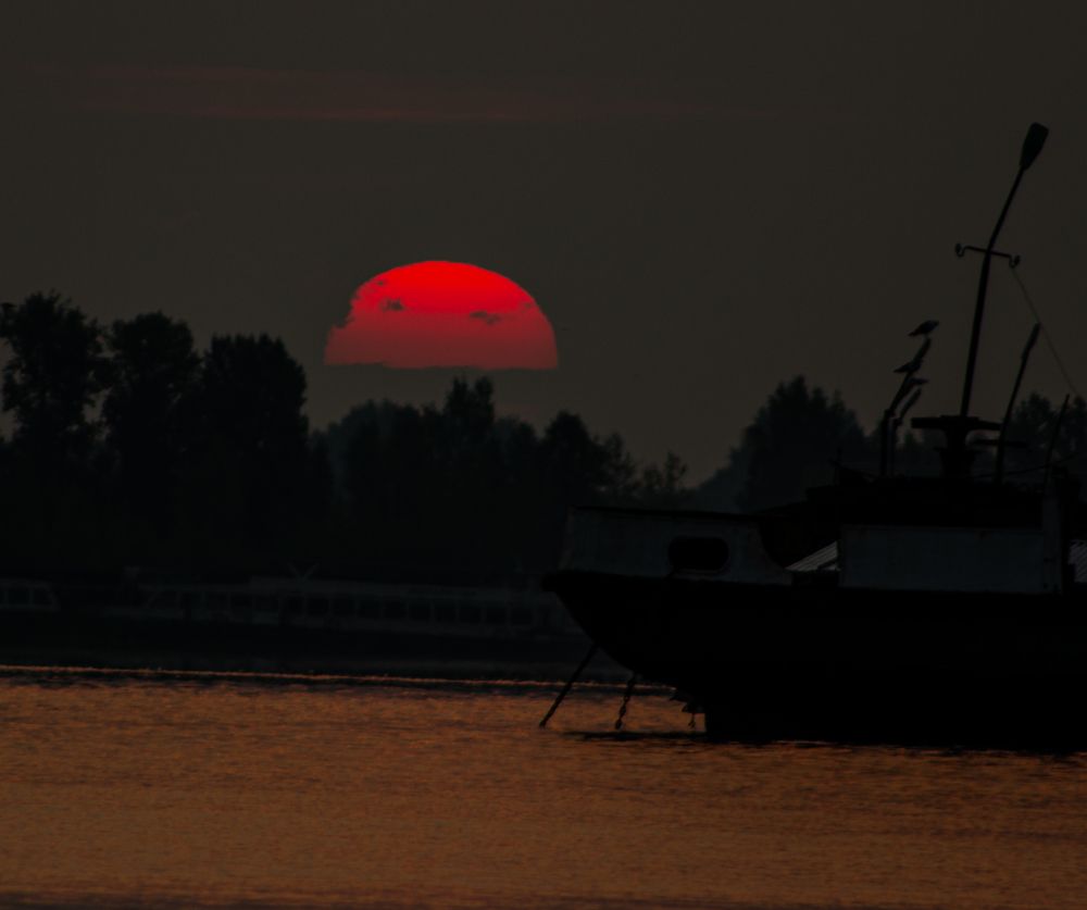 Photograph by Алексей Тихонов