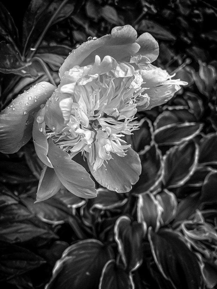 Photograph by Татьяна Тимошенко