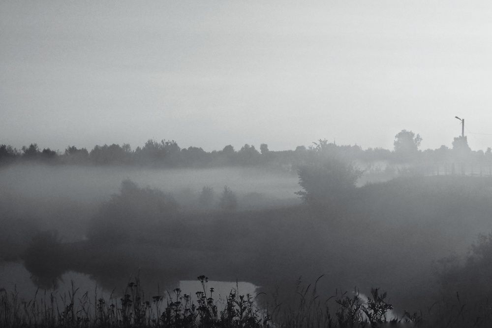 Photograph by Наталья Сафронова