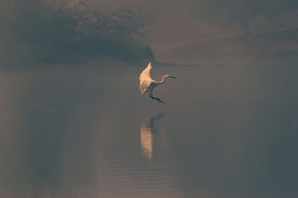 beauty and vulnerability