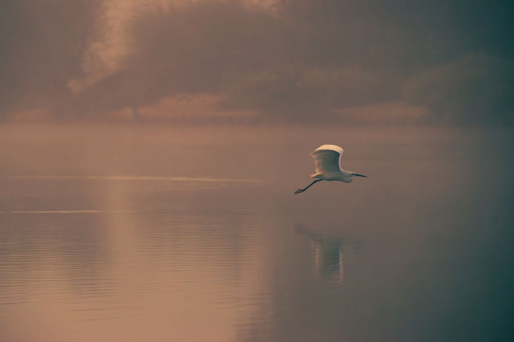 Фотография автора Kirtesh Mahant