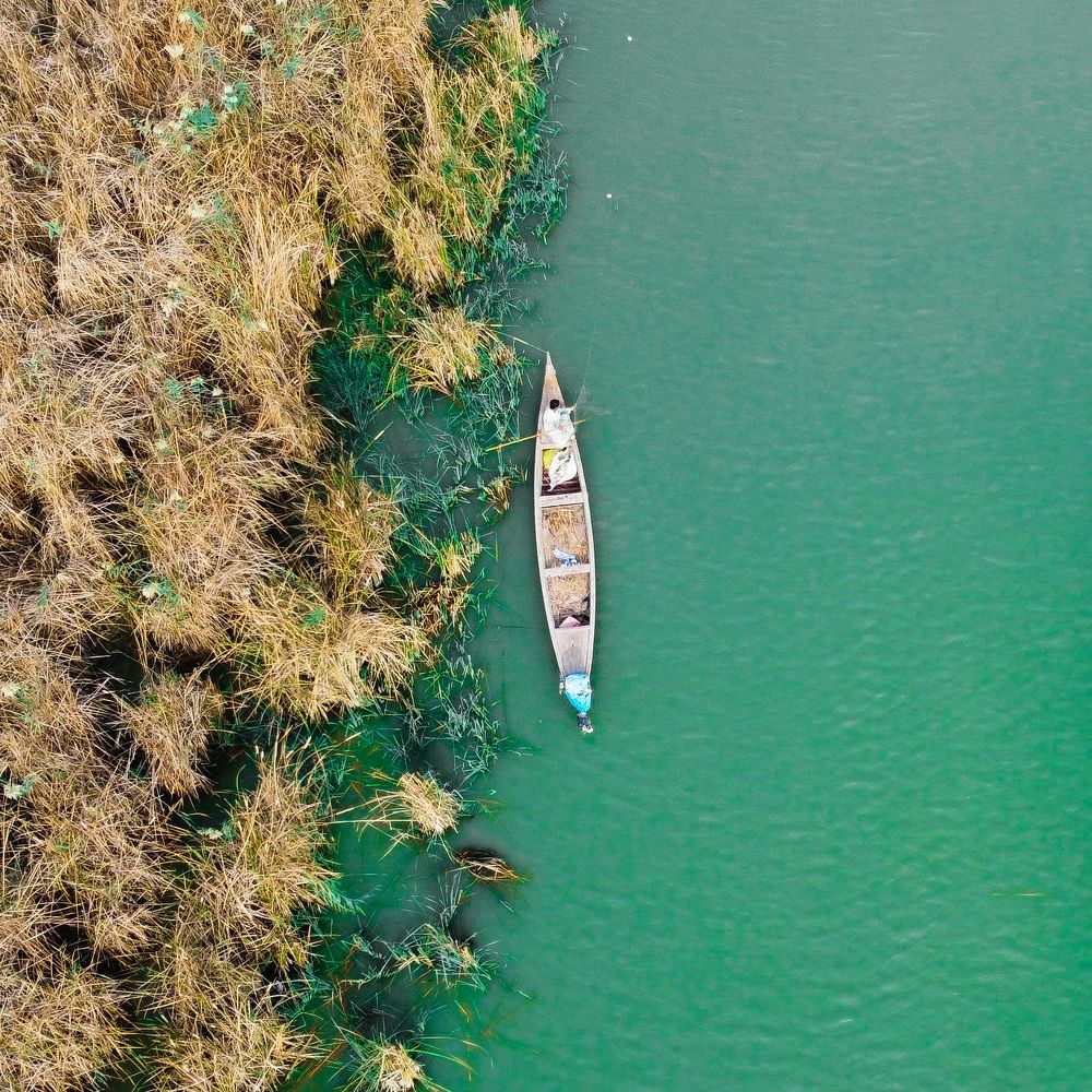 Photograph by sajad Mohammed