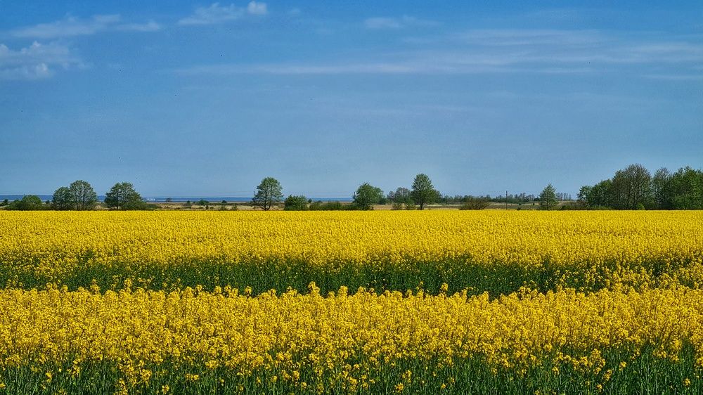 Photograph by Оксана Новикова