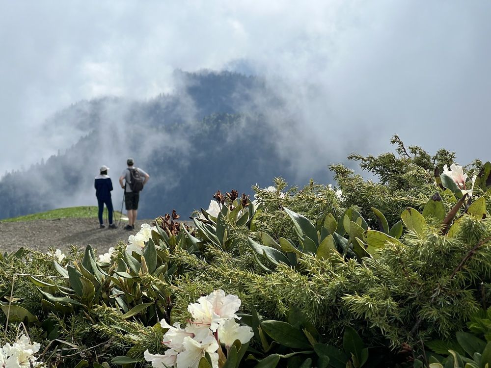 Photograph by Галина Аскольдовна Луковникова
