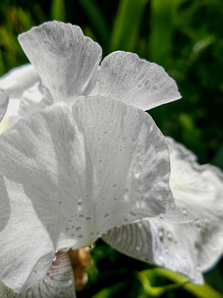 Photograph by Полина Александровна