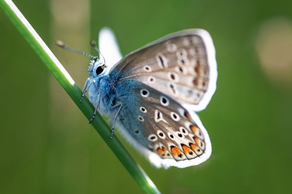 Photograph by Юлия Яровая