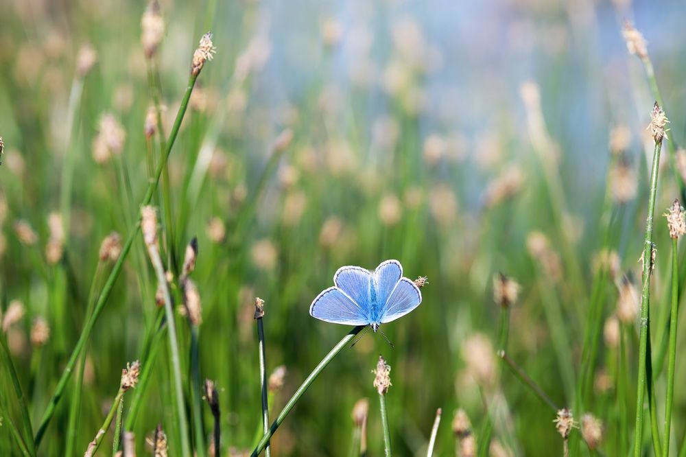 Photograph by Юлия Яровая