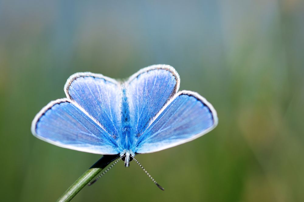 Photograph by Юлия Яровая