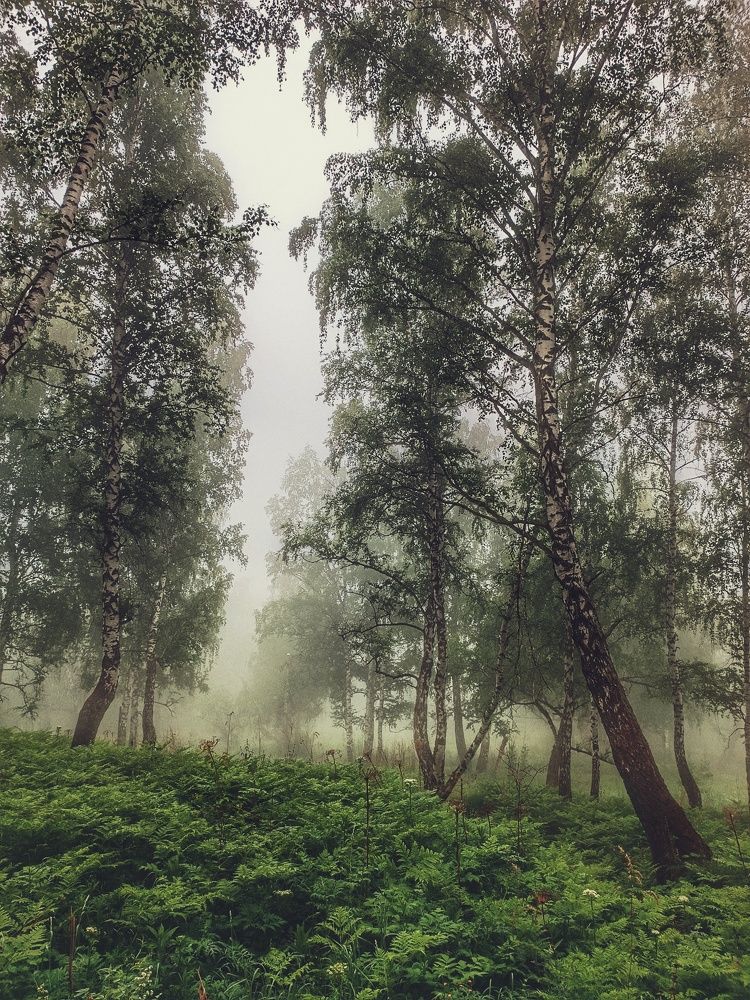 Photograph by Татьяна Cамсонова