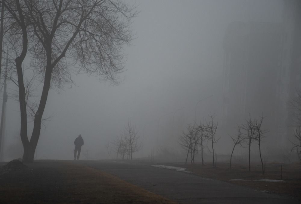 Весенним утром